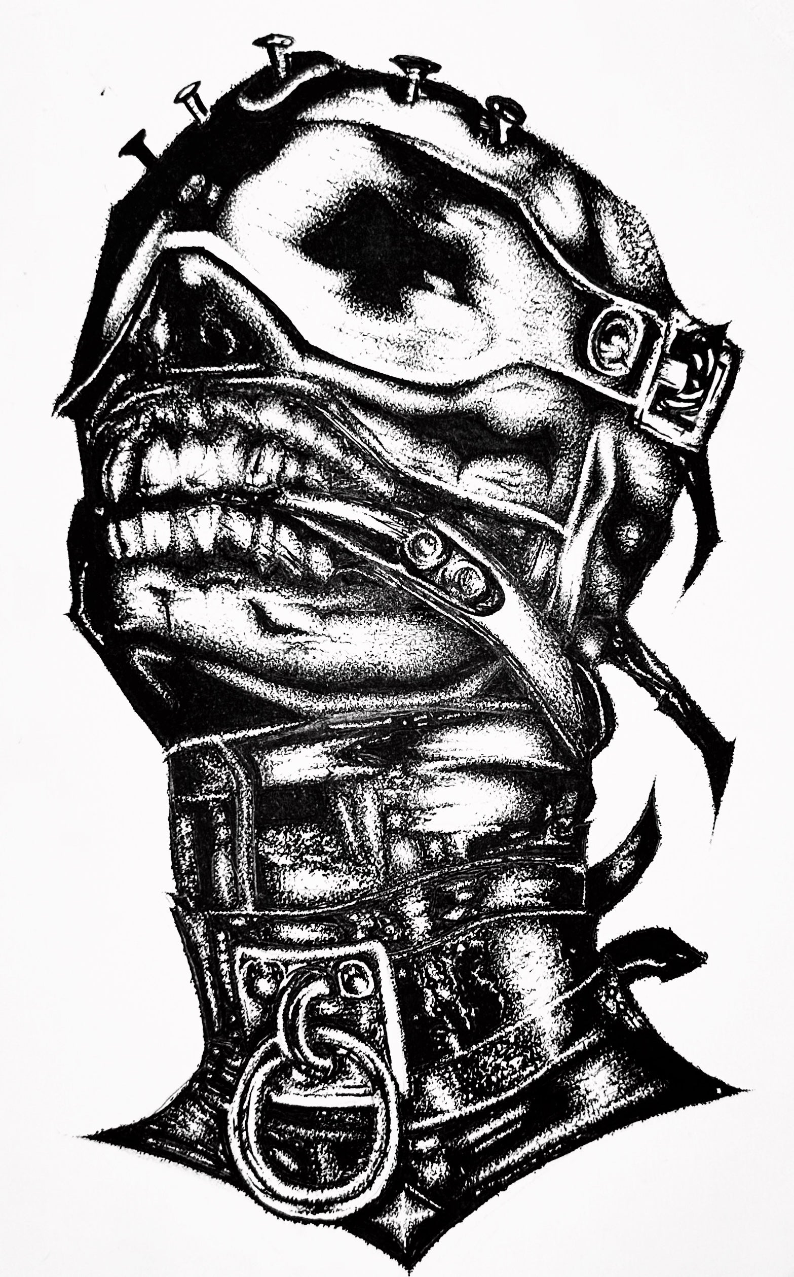 "MASKED" 4X6 CANVAS PRINT