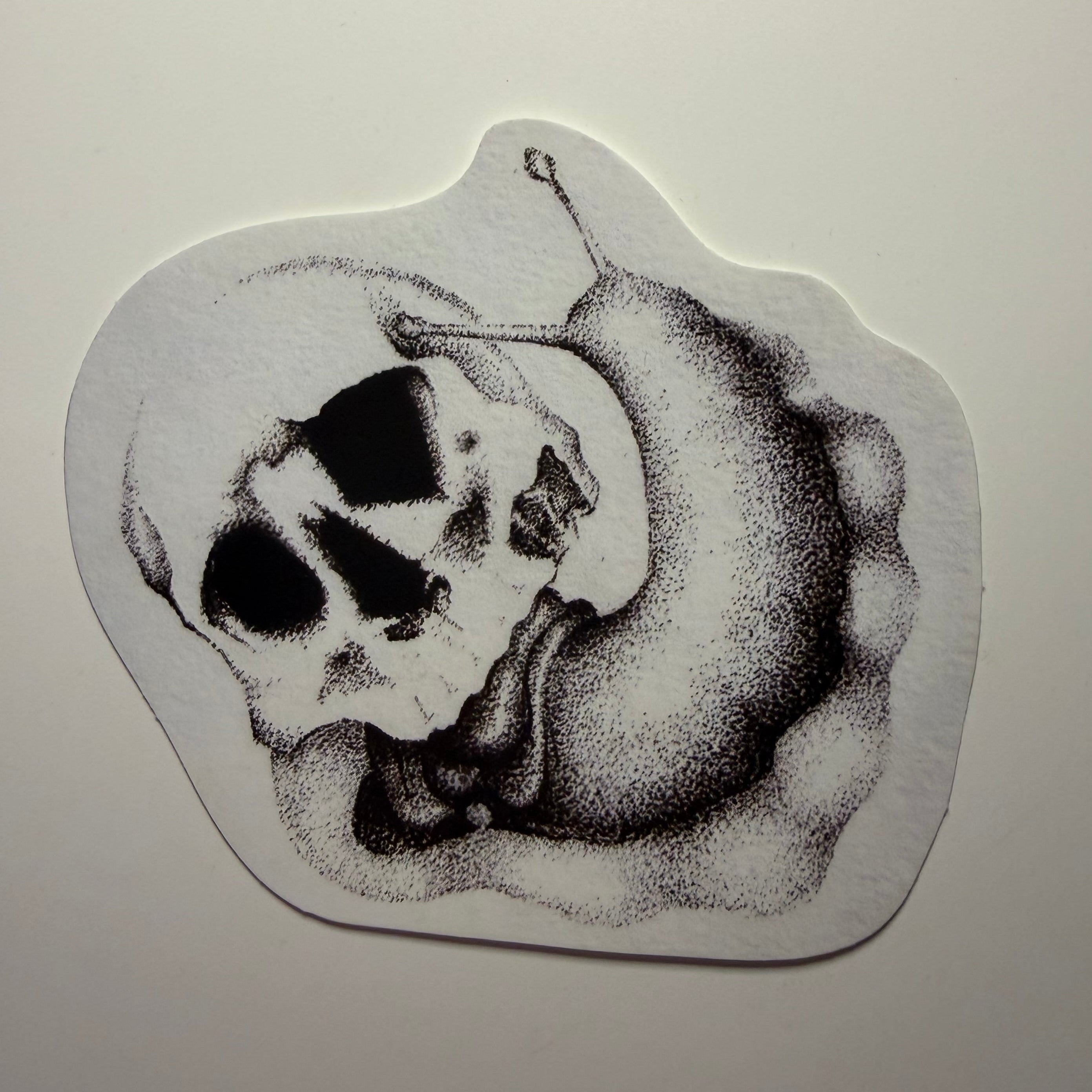 SNAIL STICKER 3X2.5 INCH